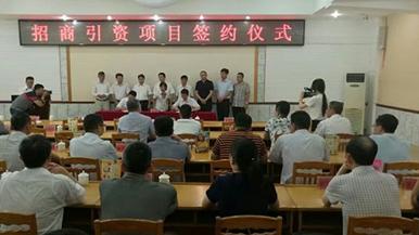 底部图