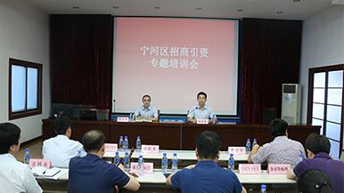 底部图
