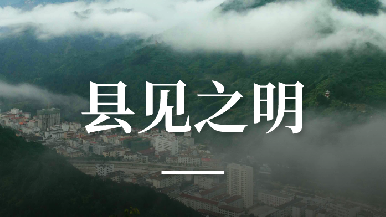 底部图