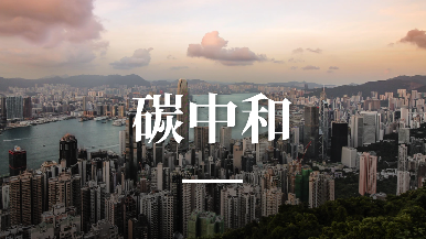 底部图