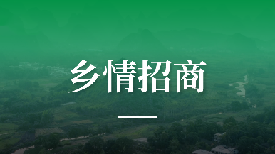 底部图