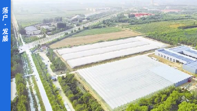 底部图