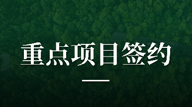 底部图